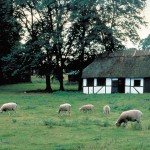 Deens Huisje met schapen